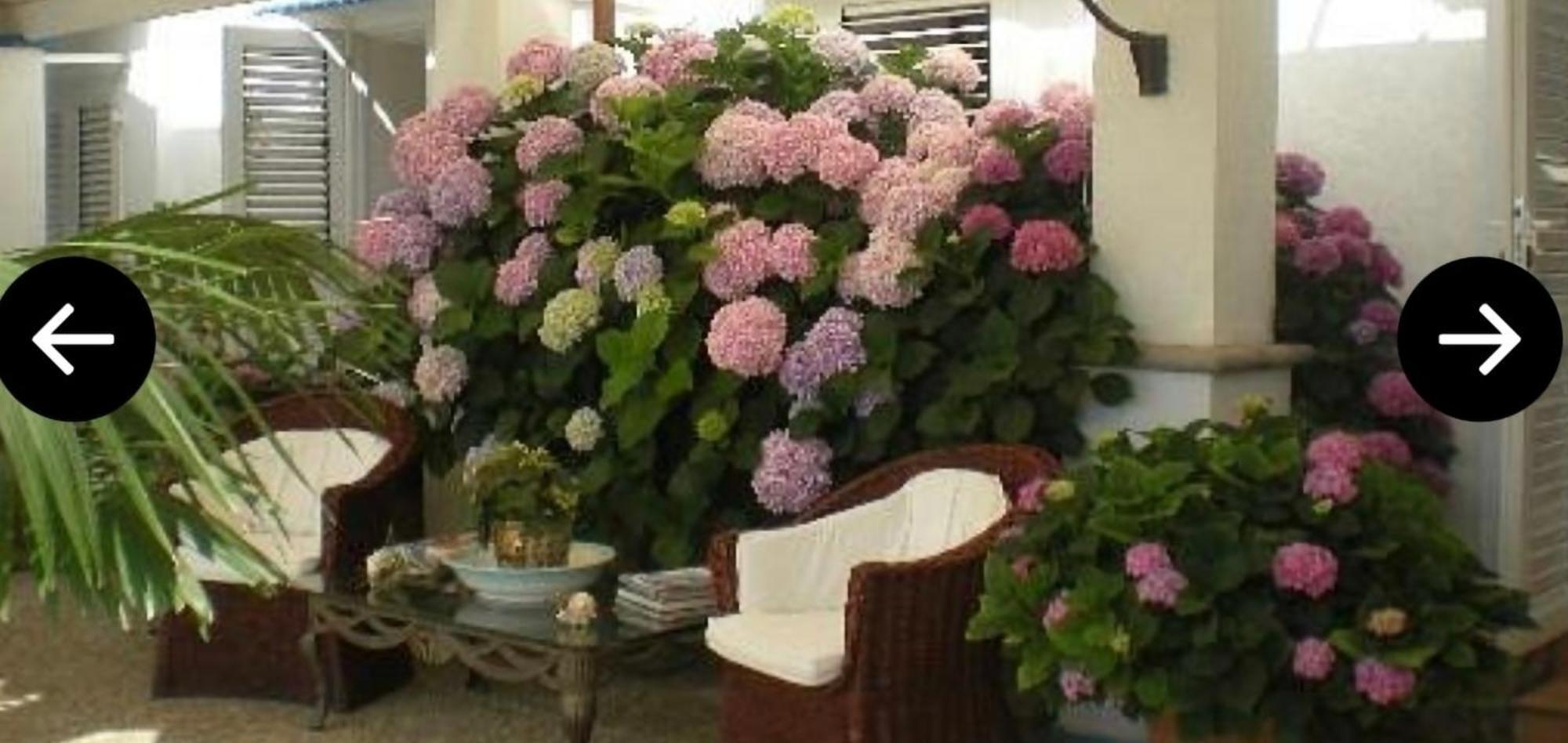 Bed and Breakfast Bb La Guardiia Anacapri  Exterior foto