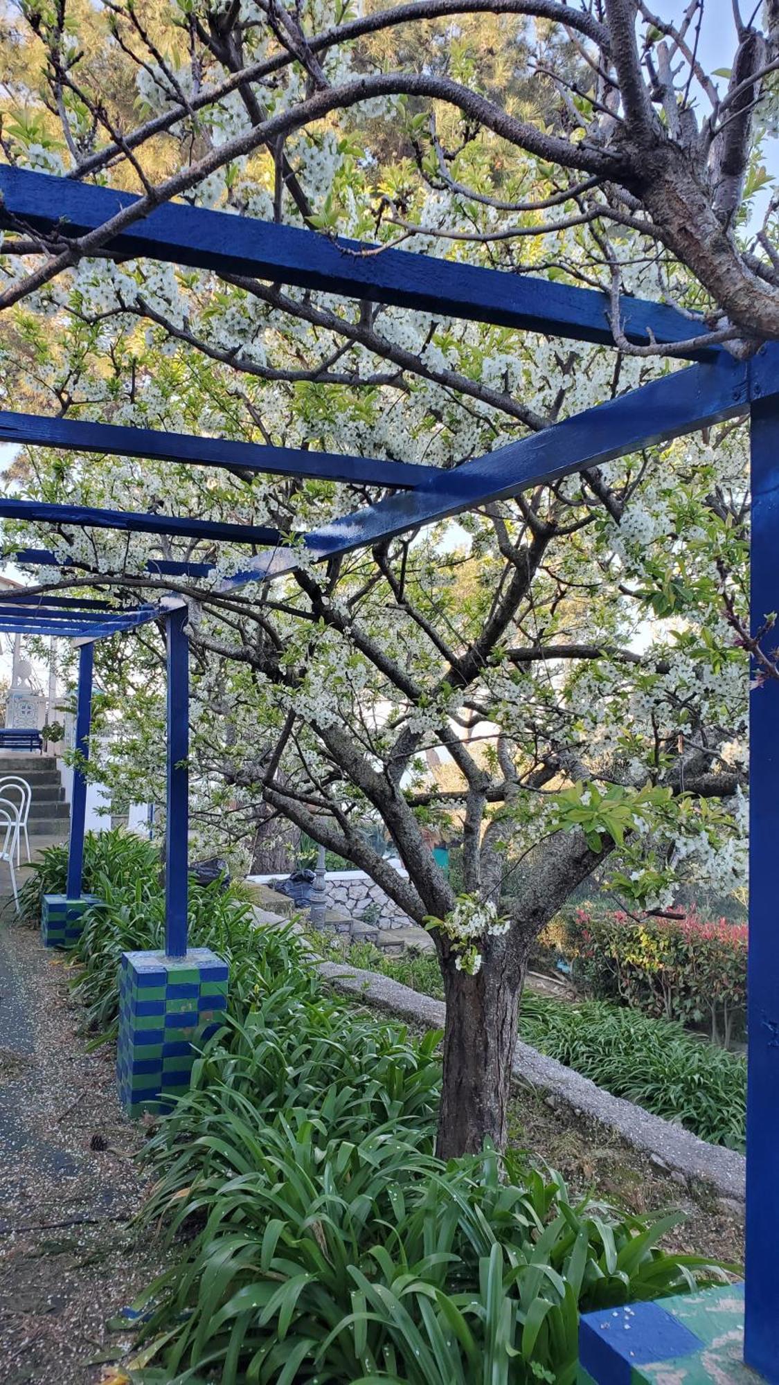 Bed and Breakfast Bb La Guardiia Anacapri  Exterior foto